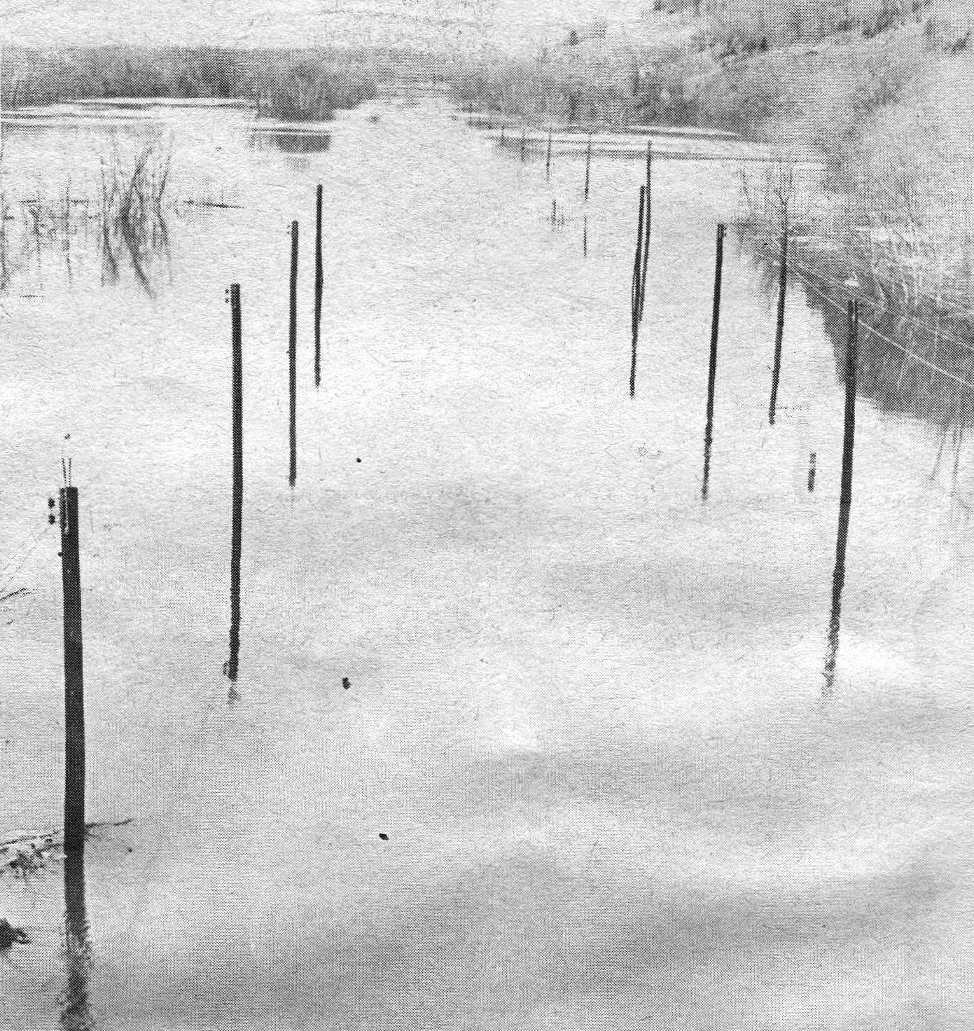 Pieces of the Past - 1965 Flood